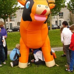 koninginnedag in de hunze